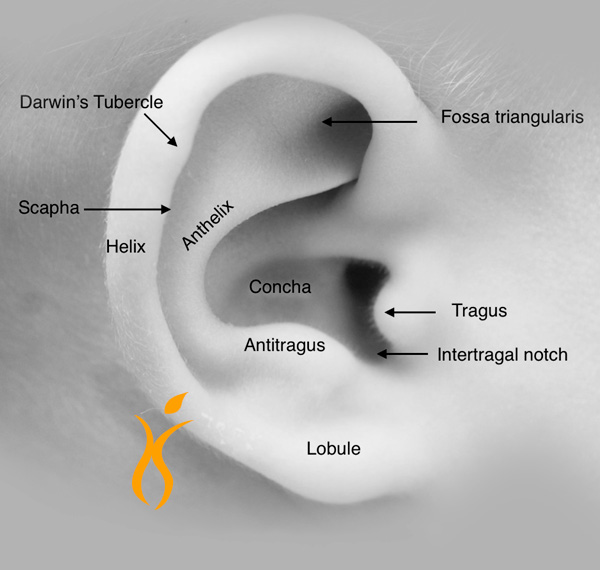 EAR ANOMALY