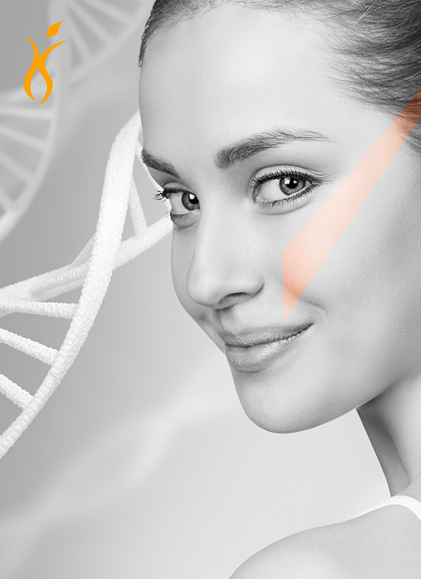 Somon DNA